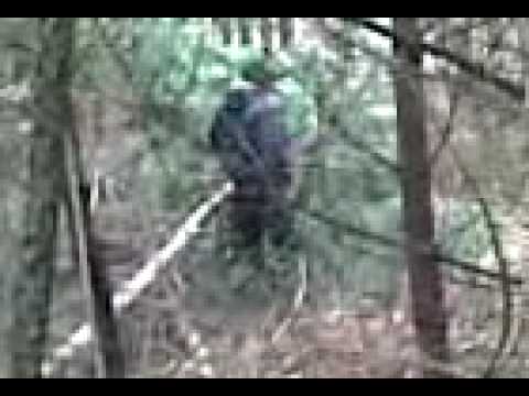 Kret w akcji w lesie!!!!!!!!:)