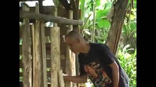 Download lagu minuman mahal(peletok)lagu sunda mp3 Download lagu minuman mahal(peletok)lagu sunda mp3