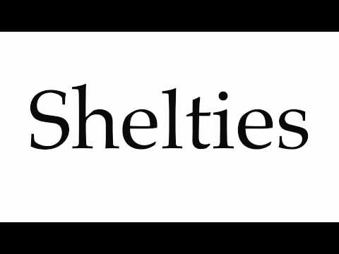 How to Pronounce Shelties