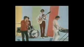 The Monkees - 99 Pounds