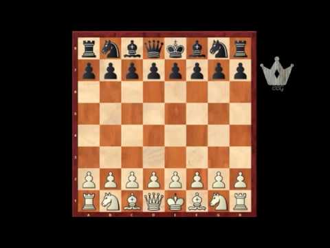 World most famous shortest protest match Hou Yifan Vs Lalith Babu 2017