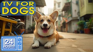 24 HOURS Calming Music for Dog Deep Sleep | Video Entertain Keep Your Dog Happy When Home Alone