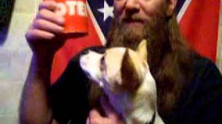 Crazy Redneck /// Rebel Flags and Minnie