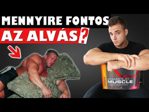 Ekkor egyél, ha fogyni szeretnél! | Well&fit - Napi 7 étkezés a fogyáshoz