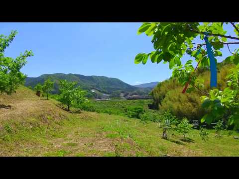 九州オルレ 筑豊・香春コース＠福岡県香春町【福岡観光紹介ショートムービー】