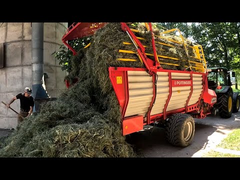 Hay and Grass Silage for Dairy Cows on a Small Farm