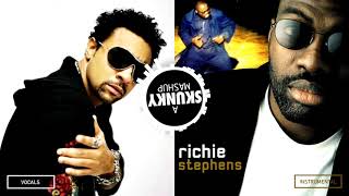 Shaggy - Leave It To Me / Richie Stephens - Rock Me (Mashup)