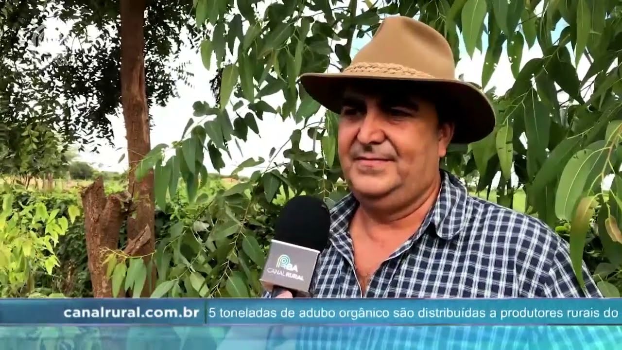 Milho não transgênico aumenta lucro e amplia mercado no sertão da Bahia | Canal Rural