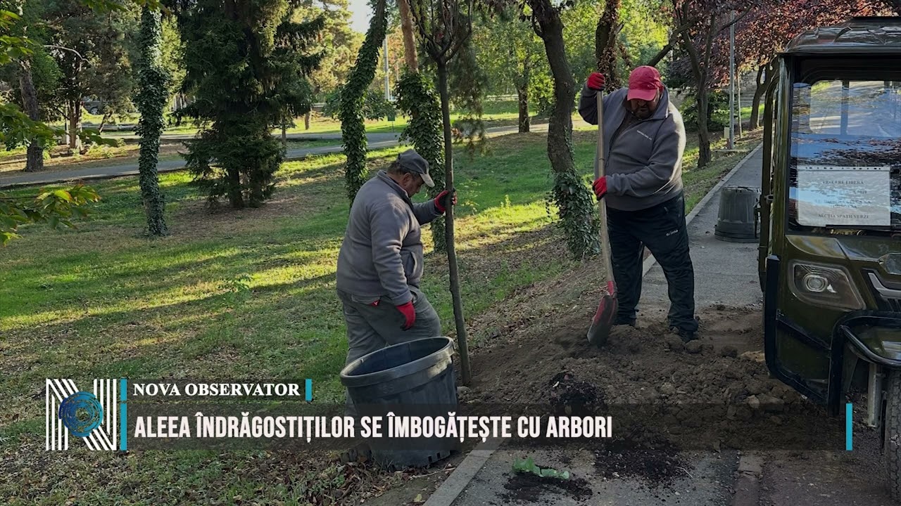 Aleea îndrăgostiților se îmbogățește cu arbori
