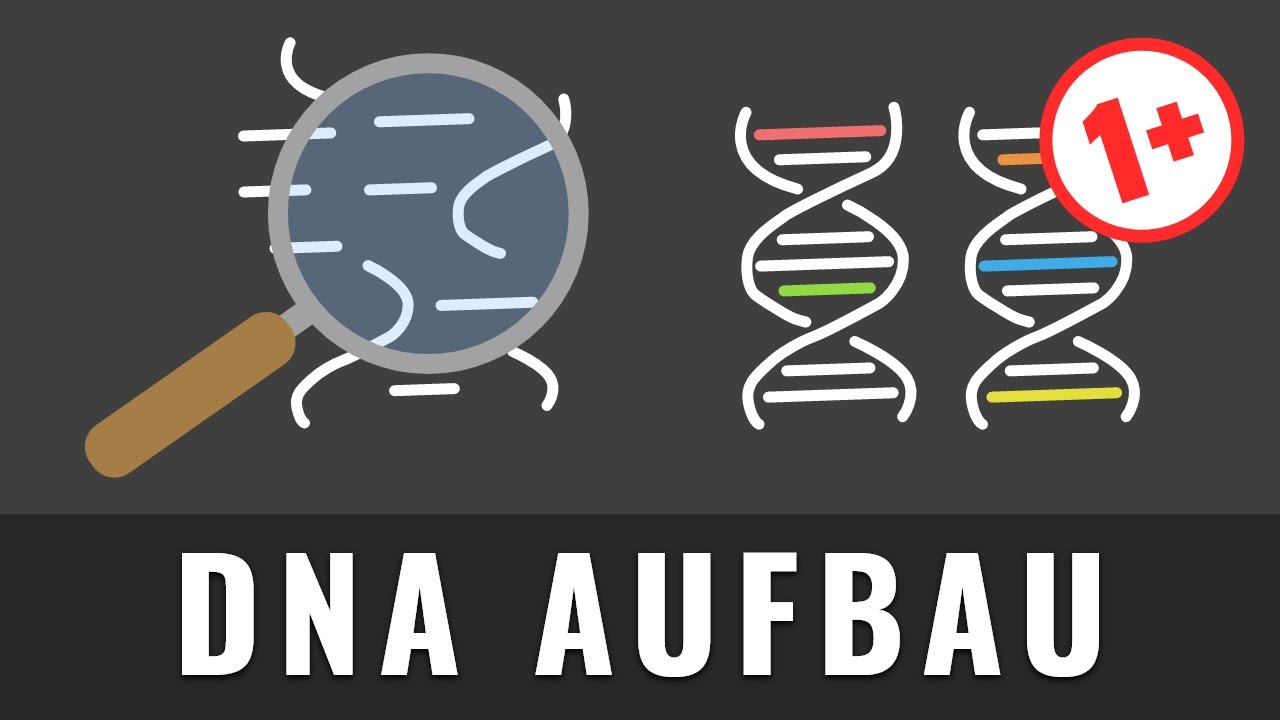 DNA Erklärvideo