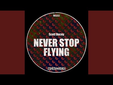 Never Stop (Edit)