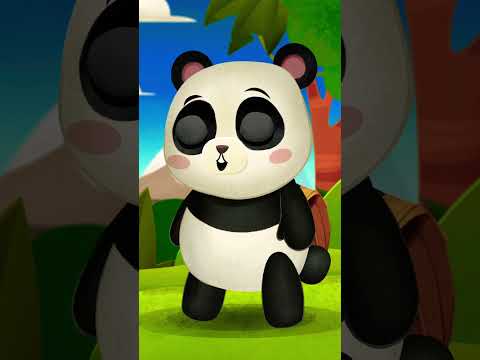 Panda marynarzem #śpiewanki #piosenkidladzieci #spiewanki