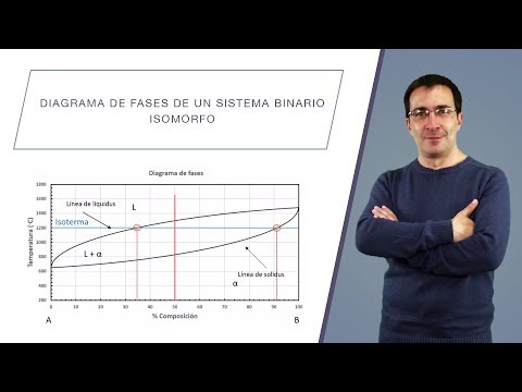 Diagrama de fases de un sistema binario isomorfo