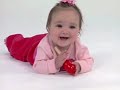 Baby Beethoven 2004 Reversed