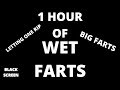 1 Hour Of FUNNY WET FART LETTING ONE RIP Mr 1 Hour
