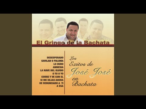 Si Me Dejas Ahora - El Gringo De La Bachata