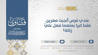 صورة فتاوى الزكاة