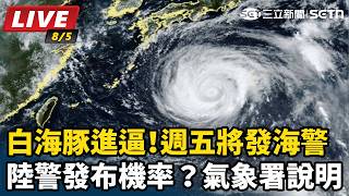 白海豚進逼！週五將發海警 氣象署說明