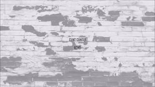 Cunt Cuntly: ECHO [Acoustic Album] FULL STREAM