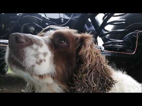 rangerover classic restoration p13