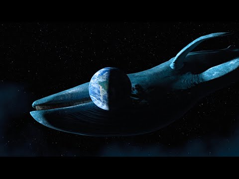 Space Whales Attack (astrophobia animation)