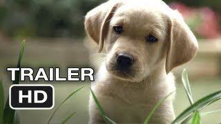 Quill The Life of a Guide Dog Official Trailer #1 (2012) HD Movie