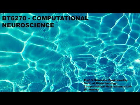 11. BT6270 Computational Neuroscience - Hodgkin Huxley Model  demo