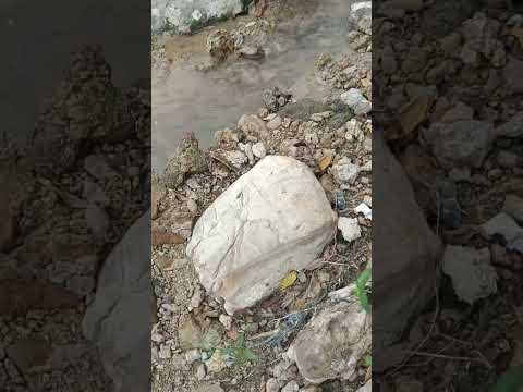 desde turbaco bolivar Colombia