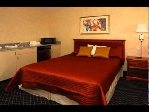 BEST WESTERN PLUS EXECUTIVE INN & SUITES