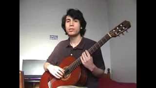 The Trapeze Swinger cover