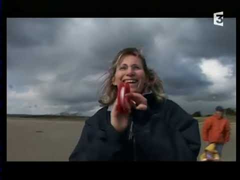 la tempête du siècle 1999