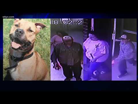 Stark County Humane