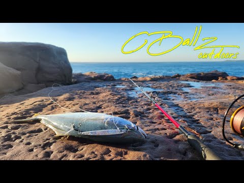 Rock Fishing Windang Island, Wollongong, NSW