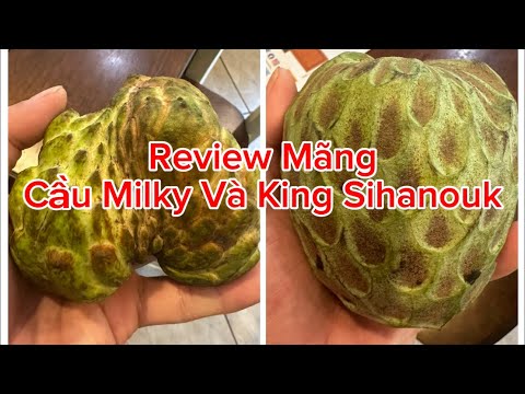 Review of Milky Soursop and King Sihanouk Cambodia