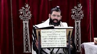 זבחים דף נ"ח ע''א ¤ הרב נתנאל אברז'ל ¤ בית הכנסת "בית מרדכי" (מוסדות תורת דוד) - התמונה מוצגת ישירות מתוך אתר האינטרנט יוטיוב. זכויות היוצרים בתמונה שייכות ליוצרה. קישור קרדיט למקור התוכן נמצא בתוך דף הסרטון