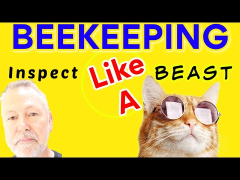 Beekeeping Means Inspecting Your Hive Like A Beast