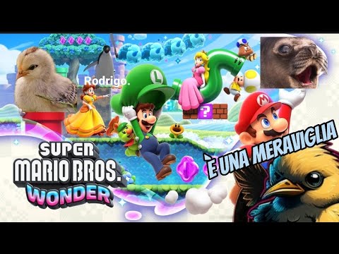 benvenuti al regno dei fiori pulcini