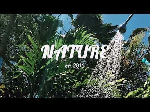 Hogland, Charlie South - Never Need