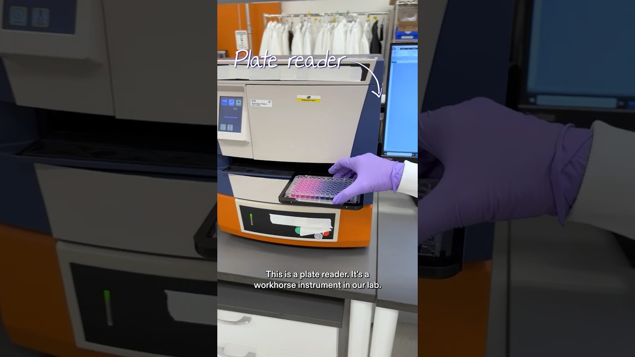 What is a plate reader & how does it work?