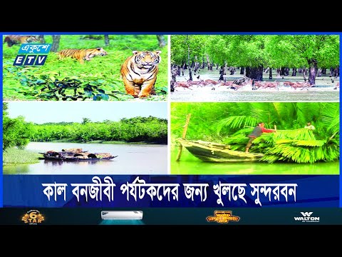 নিষেধাজ্ঞা শেষে কাল বিশ্বের বৃহত্তম ম্যানগ্রোভ বনভূমি সুন্দরবনের দুয়ার খুলছে | ETV News