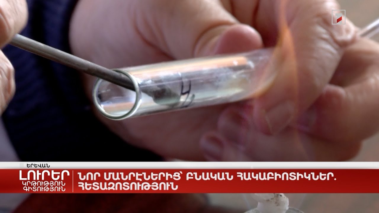 Նոր մանրէներից՝ բնական հակաբիոտիկներ. հետազոտություն