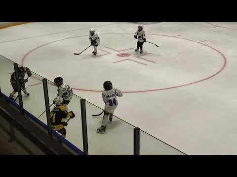 Hokkarit U8 vs Pirkkalan Pingviinit Keisarit