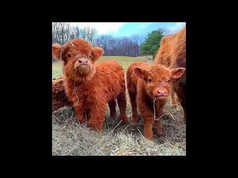 [free] hyperpop x midwest emo x alt-rock type beat - OutsideMyMind [prod. rubbish + remghost]