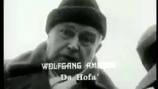 Wolfgang Ambros - Da Hofa (1972)