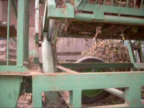 Kopanie selera smolik