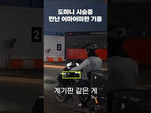 퇴근중 만난 어마어마한 녀석