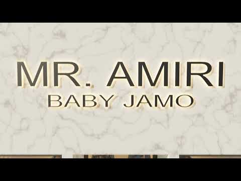 Baby Jamo - Mr. Amiri (Official Visualizer)