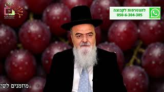 הגאון הרב אהרון בוטבול - הלכה יומית - י"ד סיון התשפ"ה - האם נטילת ידיים לטיבול פוטרת מנטילה לסעודה? (הרב אהרון בוטבול) - התמונה מוצגת ישירות מתוך אתר האינטרנט יוטיוב. זכויות היוצרים בתמונה שייכות ליוצרה. קישור קרדיט למקור התוכן נמצא בתוך דף הסרטון הגאון הרב אהרון בוטבול - הלכה יומית - י"ד סיון התשפ"ה - האם נטילת ידיים לטיבול פוטרת מנטילה לסעודה? (הרב אהרון בוטבול) - התמונה מוצגת ישירות מתוך אתר האינטרנט יוטיוב. זכויות היוצרים בתמונה שייכות ליוצרה. קישור קרדיט למקור התוכן נמצא בתוך דף הסרטון