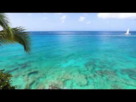 Fall Asleep with Powerful Waves at Night on Museddu Beach   Ocean Sounds for Deep Sleeping