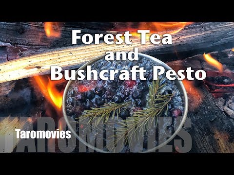 download lagu mp3 mp4 Pesto Tea, download lagu Pesto Tea gratis, unduh video klip Pesto Tea